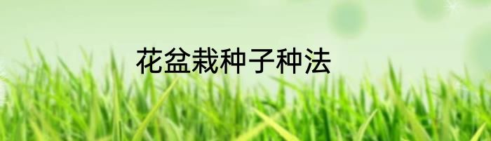 花盆栽种子种法