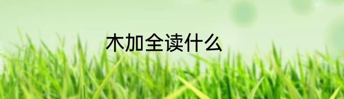 木加全读什么