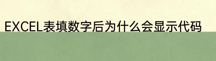 EXCEL表填数字后为什么会显示代码