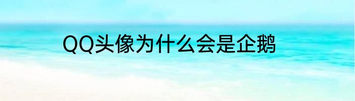 QQ头像为什么会是企鹅