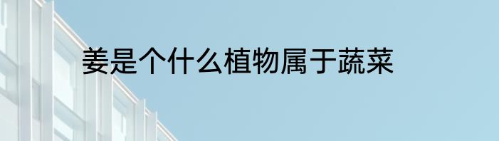 姜是个什么植物属于蔬菜