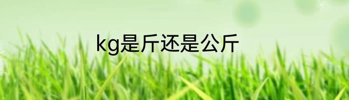 kg是斤还是公斤