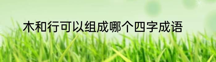 木和行可以组成哪个四字成语