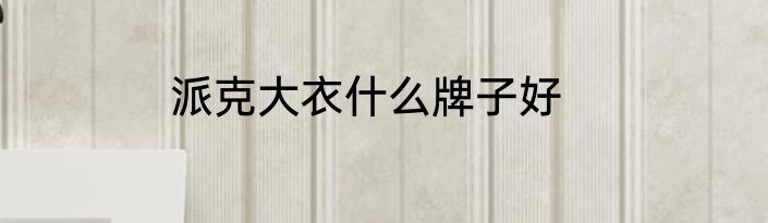 派克大衣什么牌子好