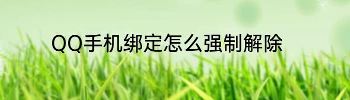QQ手机绑定怎么强制解除