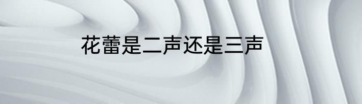 花蕾是二声还是三声