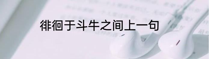 徘徊于斗牛之间上一句