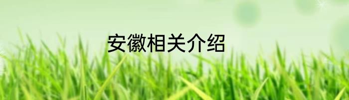 安徽相关介绍