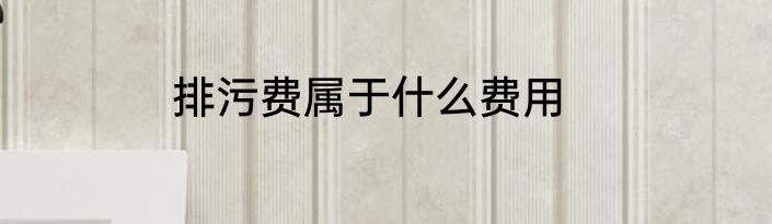 排污费属于什么费用