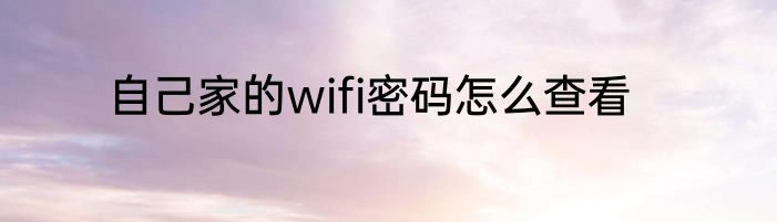 自己家的wifi密码怎么查看
