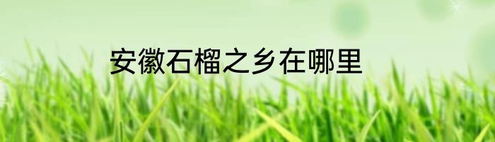 安徽石榴之乡在哪里