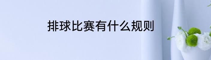 排球比赛有什么规则
