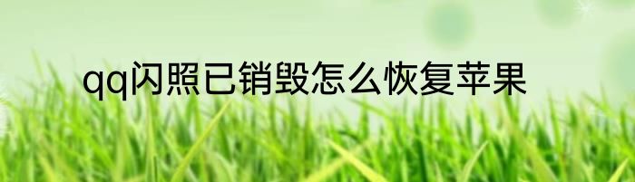 qq闪照已销毁怎么恢复苹果