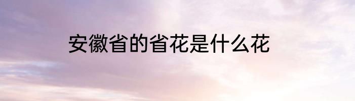 安徽省的省花是什么花