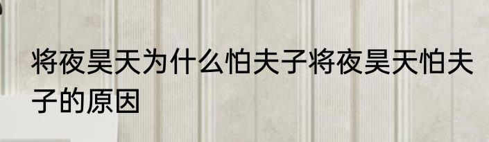 将夜昊天为什么怕夫子将夜昊天怕夫子的原因