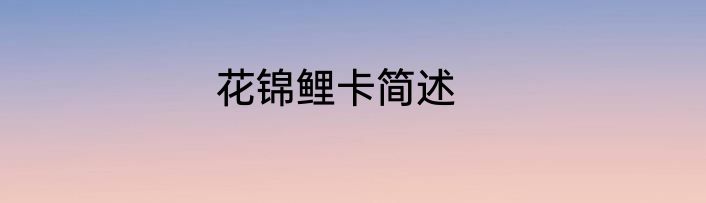 花锦鲤卡简述
