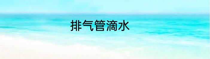排气管滴水