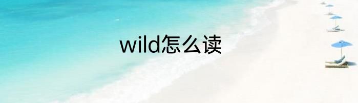 wild怎么读