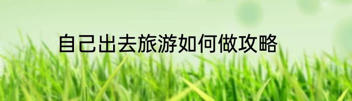 自己出去旅游如何做攻略