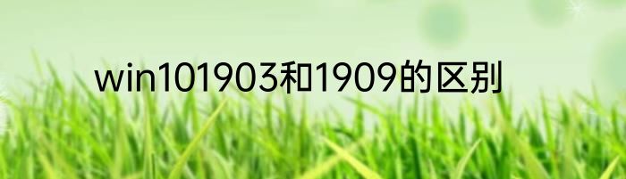 win101903和1909的区别