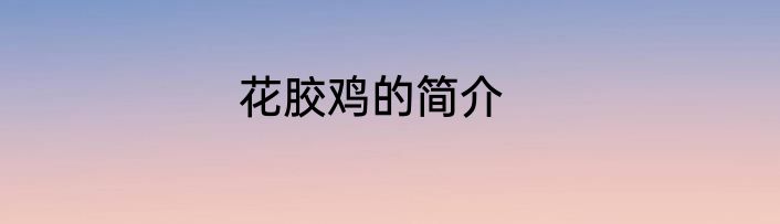 花胶鸡的简介
