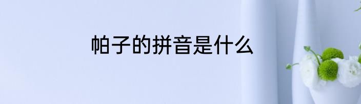 帕子的拼音是什么