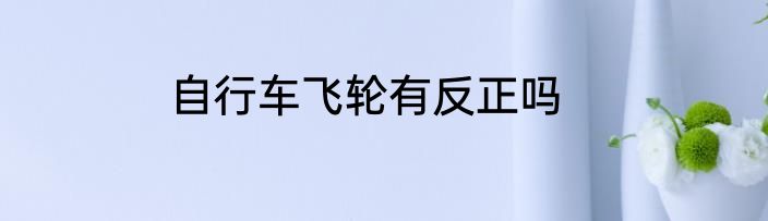 自行车飞轮有反正吗