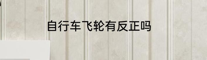 自行车飞轮有反正吗