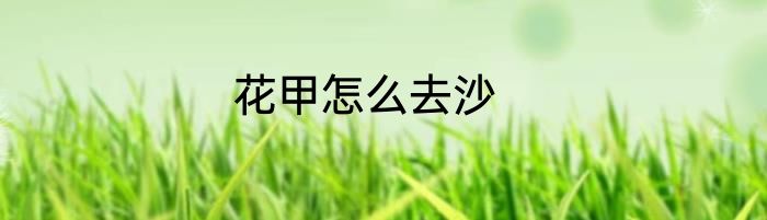 花甲怎么去沙