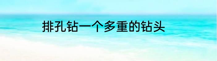 排孔钻一个多重的钻头