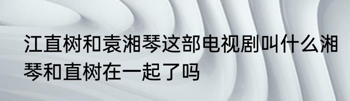 江直树和袁湘琴这部电视剧叫什么湘琴和直树在一起了吗