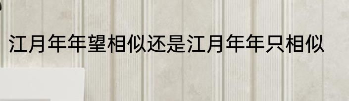 江月年年望相似还是江月年年只相似