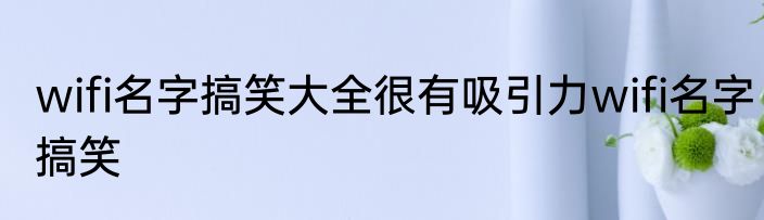 wifi名字搞笑大全很有吸引力wifi名字搞笑
