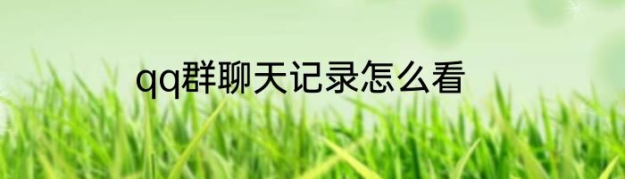 qq群聊天记录怎么看
