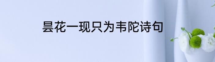 昙花一现只为韦陀诗句