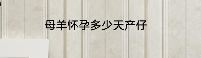 母羊怀孕多少天产仔