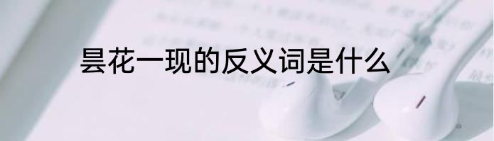 昙花一现的反义词是什么