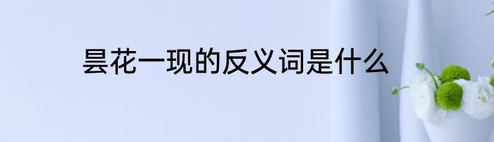 昙花一现的反义词是什么