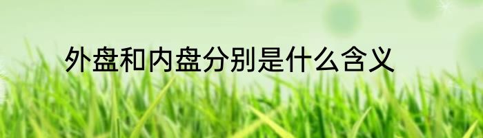 外盘和内盘分别是什么含义