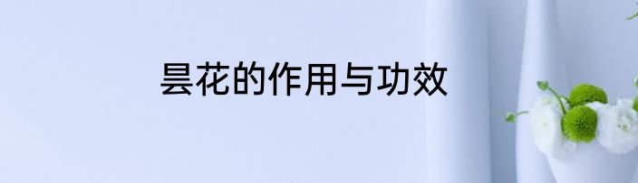 昙花的作用与功效