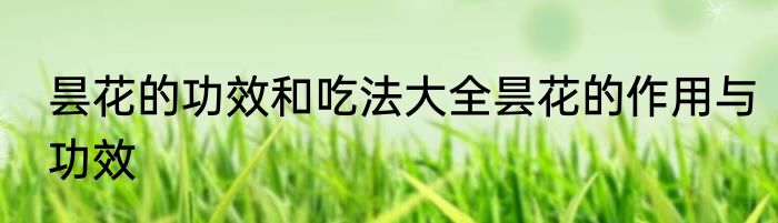 昙花的功效和吃法大全昙花的作用与功效