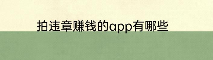 拍违章赚钱的app有哪些