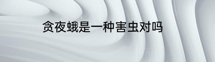贪夜蛾是一种害虫对吗