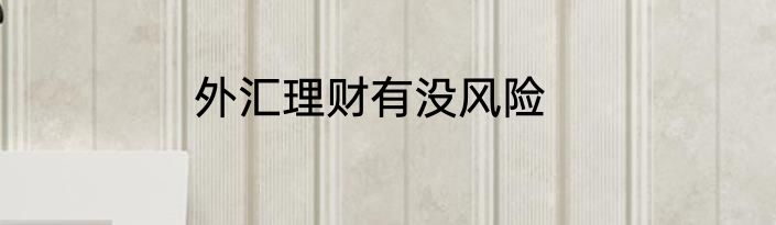 外汇理财有没风险