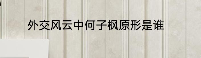 外交风云中何子枫原形是谁