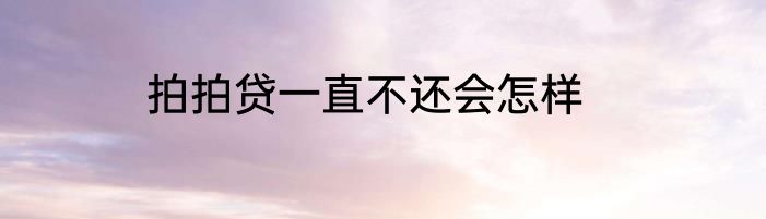 拍拍贷一直不还会怎样