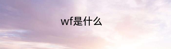 wf是什么