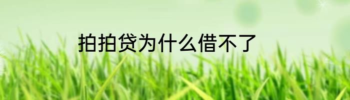 拍拍贷为什么借不了