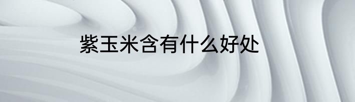 紫玉米含有什么好处