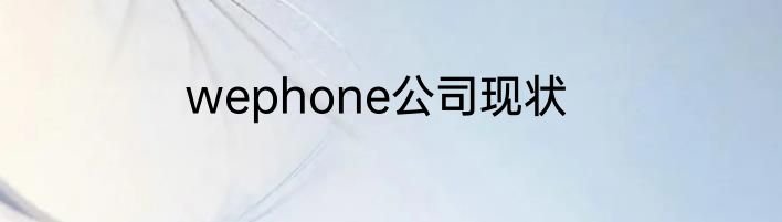 wephone公司现状